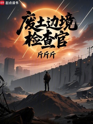 废土边境检查官